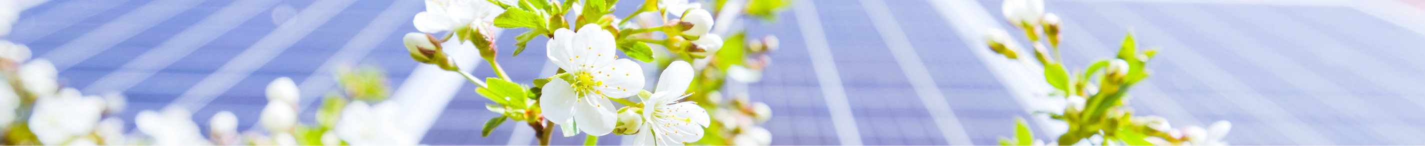 Banner_Sunny Deals_April-10_1900x195px