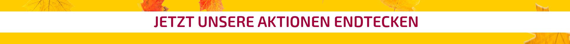 KRCH_Aktionensbanner_DE