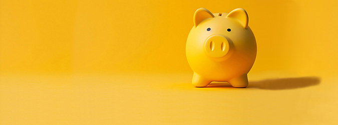 M01_SALE_Oink_675x250px