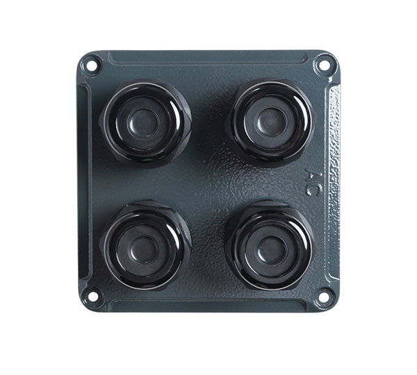 8234213_1_b_8_7_1b876ecbcced07010c20f27569504128c926aa91_det_iva_sung_x_plate_for_sg110_250hx.jpg