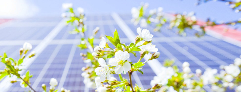 Banner_Sunny Deals_April_650x250px_Blanco
