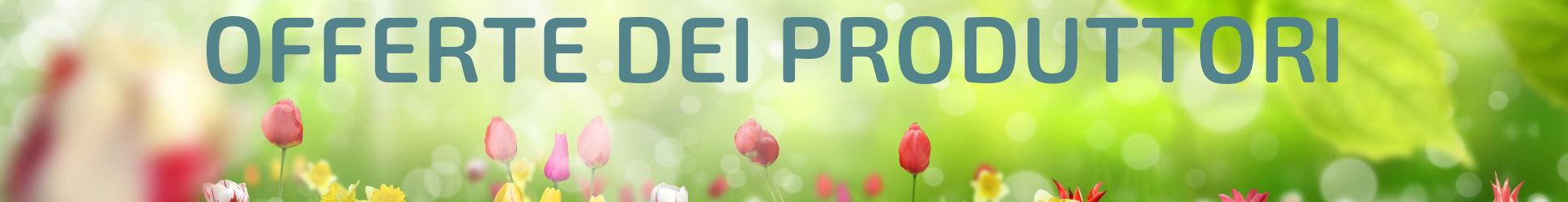 KRCH_Header_Herstelleraktionen_1935X250_IT_24.03.2026