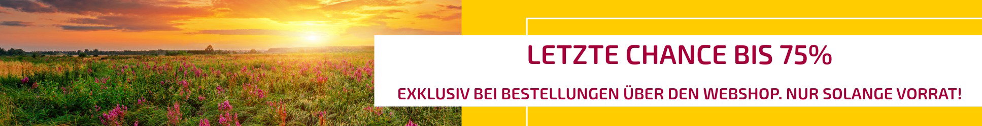 KRCH_Banner_Letzte Chance Aktion