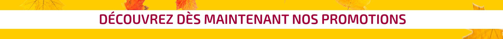 KRCH_Aktionensbanner_FR