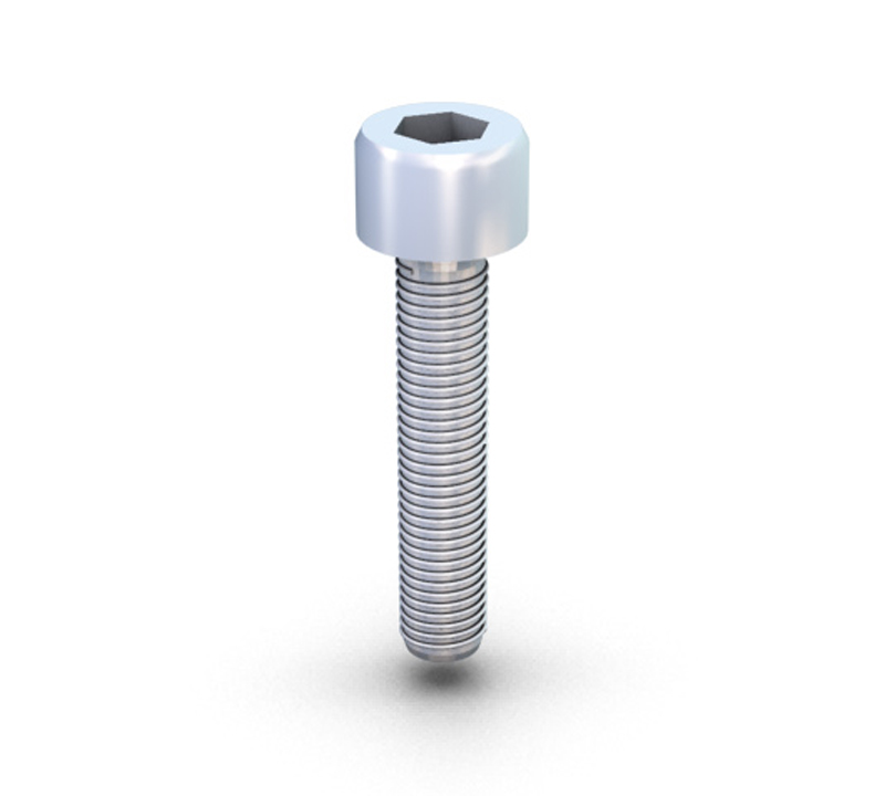 VIS TÊTE CYLINDIRQUE M8x55