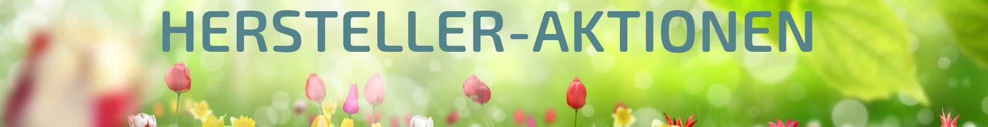 KRCH_Header_Herstelleraktionen_1935X250_DE_24.03.2026