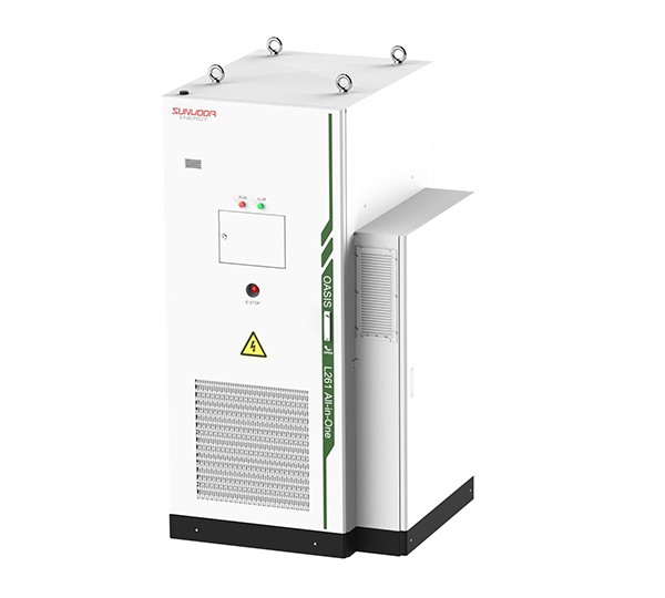 Oasis L261 All-in-One Backup