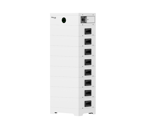 T-BAT-SYS-HV-S20
