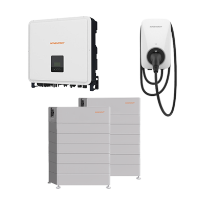 SK Hybrid Speichersystem 58 kWh / 30 kW + Wallbox