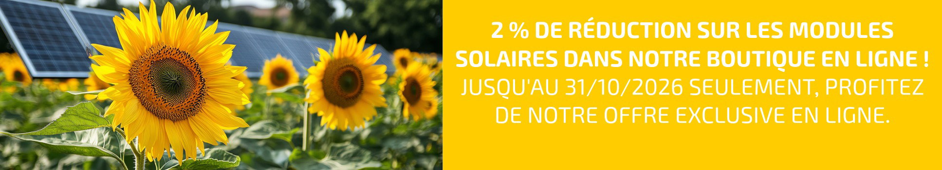 KRCH_Solarmodule Aktionsrabatt_FR