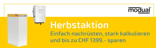 Newsletter Aktionen September-10