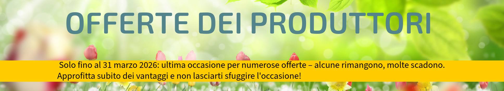 KRCH_Header_Herstelleraktionen_1935X250_IT_17.03.26